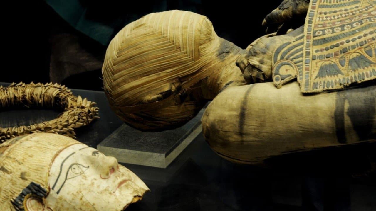 Momies d'Égypte, en quête d'immortalité