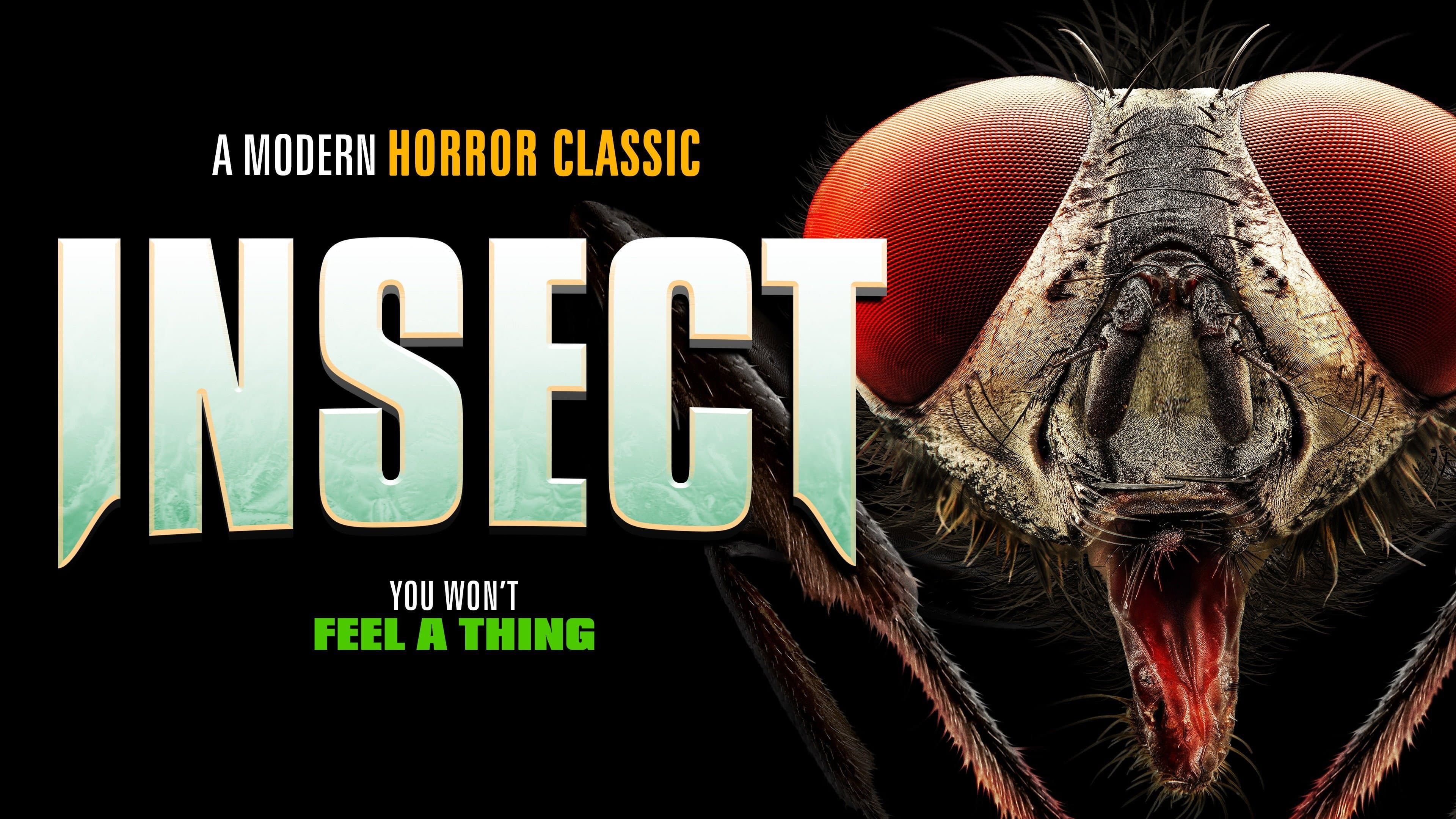 Insect